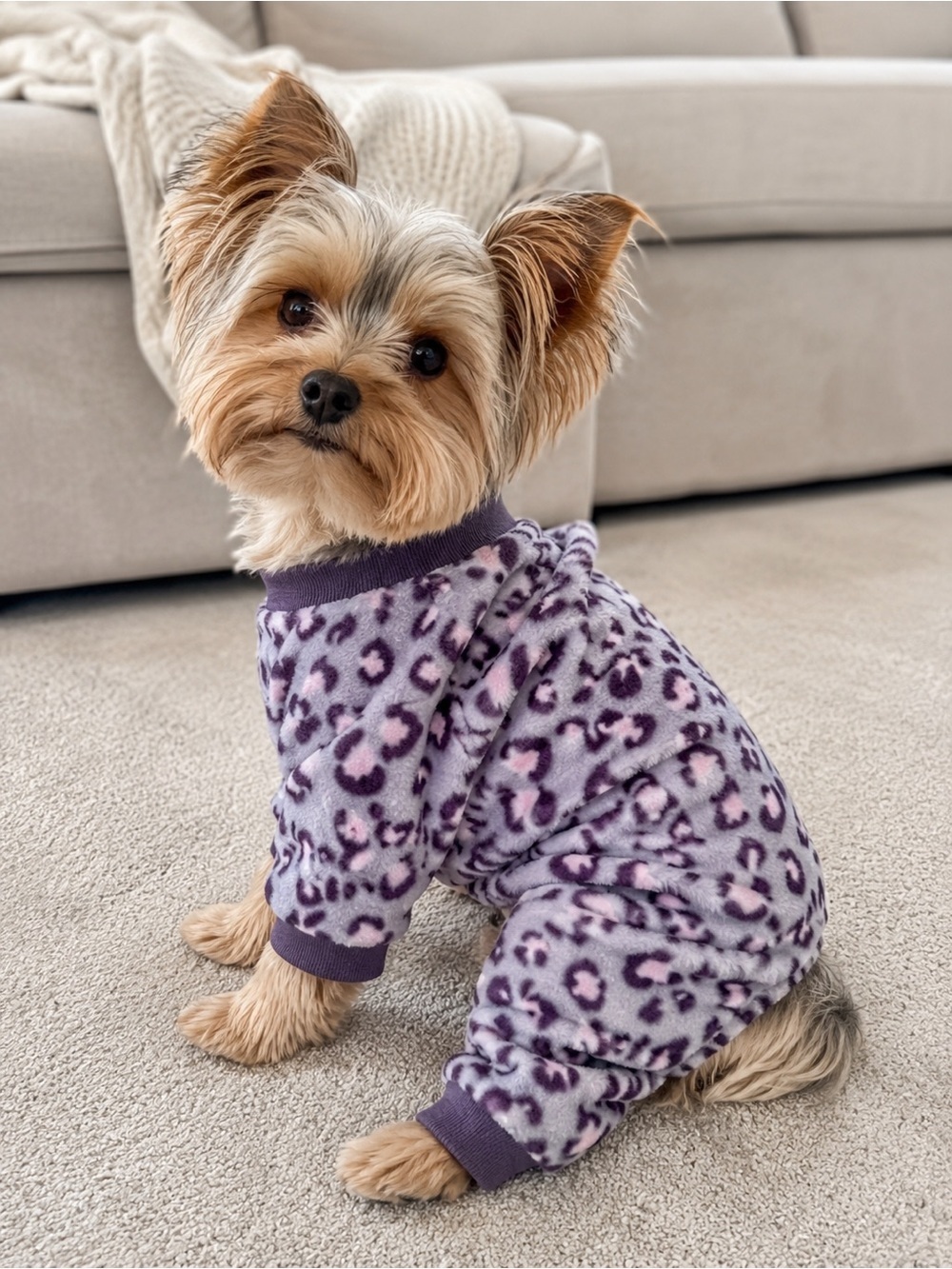 BARKLEY & Finn small breed dog purple fleece pyjamas Sz M/L